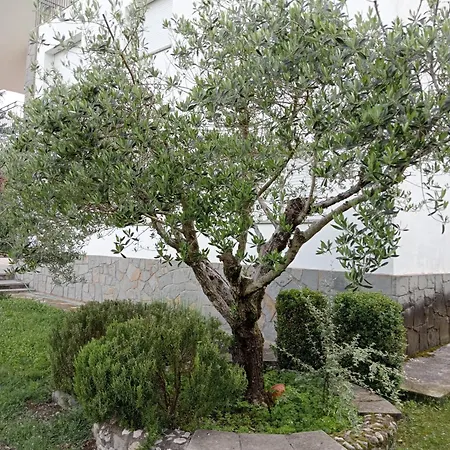 Holiday home Apartamento-casa Turistica L'espigol Sant Llorenc de Morunys